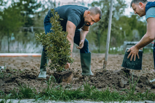 Best Storm Damage Tree Cleanup  in Arcadia, FL